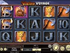 Viking Voyage